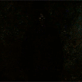tumblr_m71b2pJaOJ1r212c6o1_250.gif (160×160)