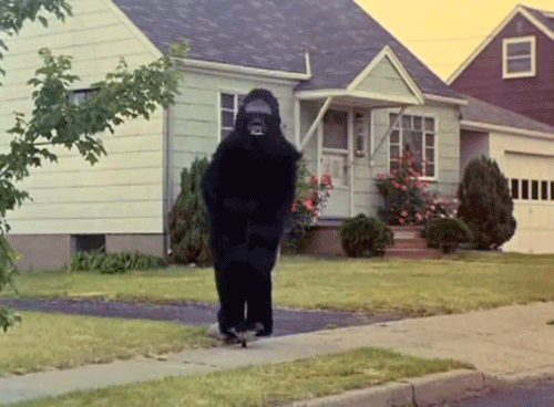 howidodance.gif (500×368)