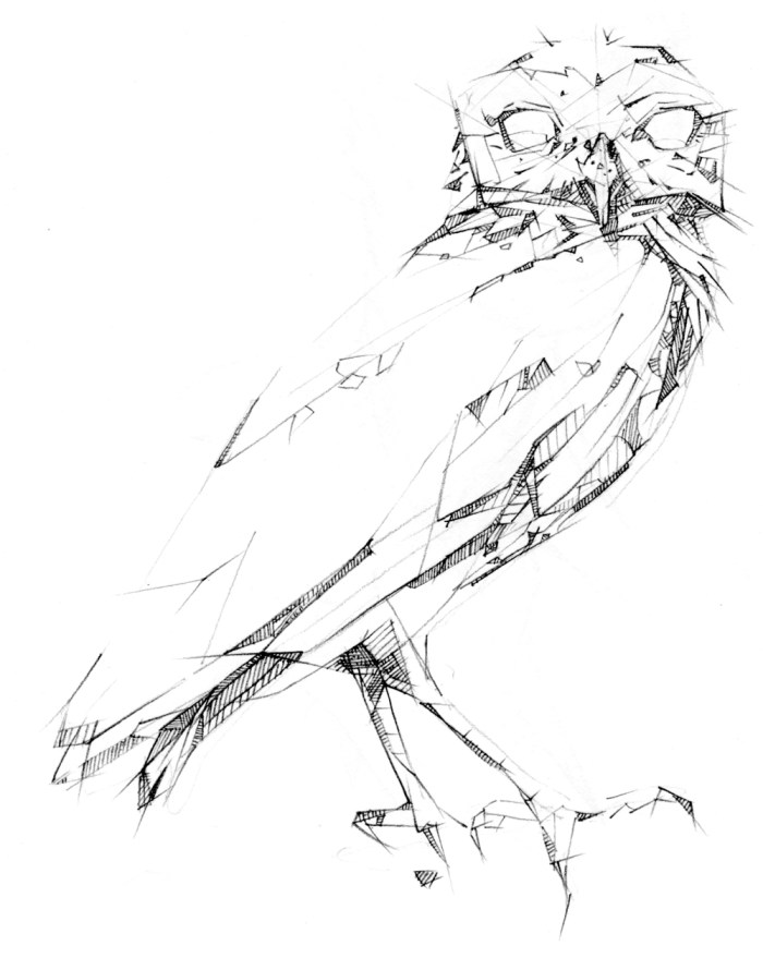 owl_thielke.jpg