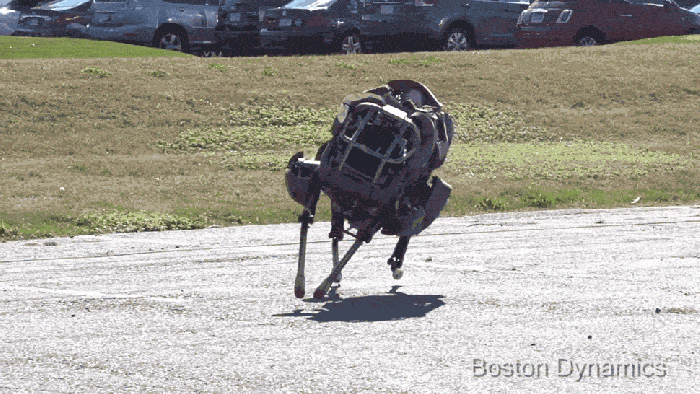 A Closer Look at Google's New Robot Army