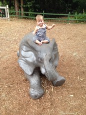 Elephant ride