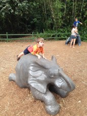 King of the jungle