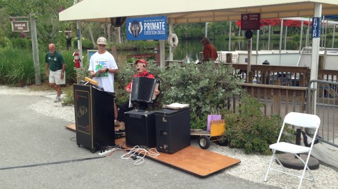 Accordion playing grandma