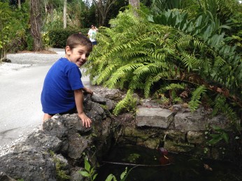 Hanging out with the tadpoles